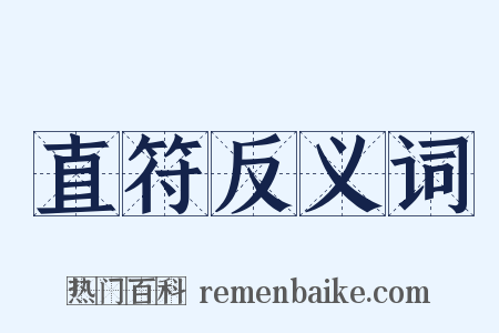 直符反义词是什么意思的图片